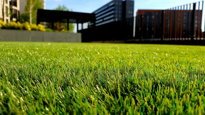 Grüne Rasenfläche mit modernen Gebäuden im Hintergrund.