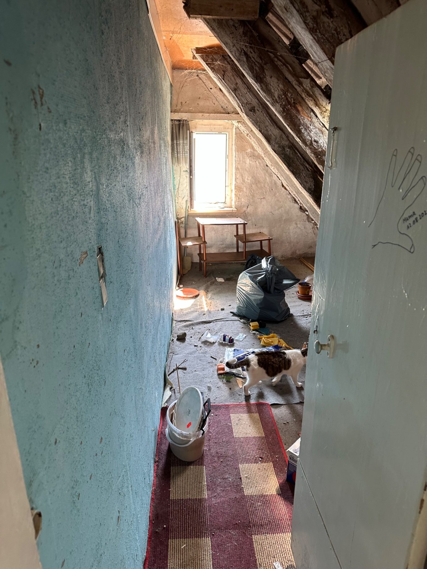 vorher: unausgebauter Dachraum Blick in einen unordentlichen Raum mit blauer Wand und sichtbarem Licht.